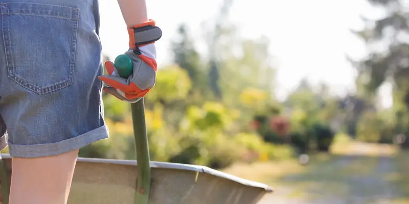 Diseño y paisajismo de jardines
