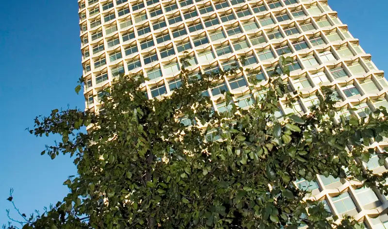 Poda general de árboles