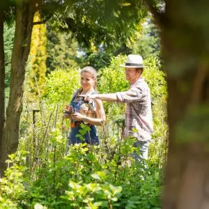 Asesoramiento y cuidado de jardines en Sant Cugat