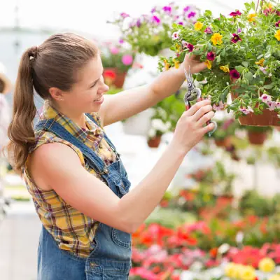 Servicio de jardinería