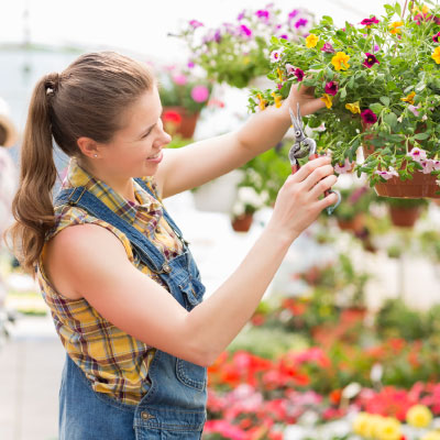 Mantenimiento de Jardines